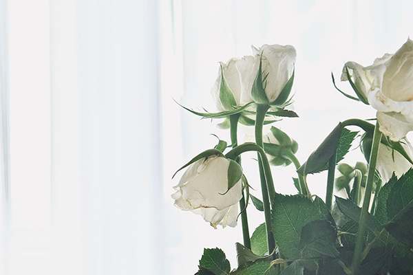 沈陽(yáng)殯儀服務(wù)公司