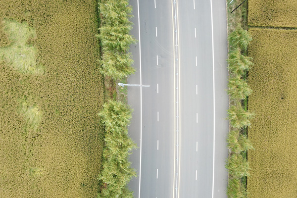 沈陽殯葬服務(wù)五大措施保障! 沈陽殯葬服務(wù)五大措施保障!