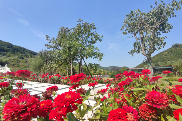 沈陽白事服務(wù)全解析：關(guān)愛延續(xù)，尊嚴(yán)安息