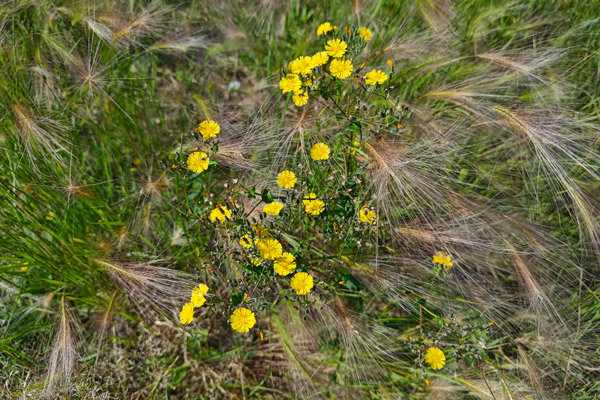 沈陽殯葬中給逝者圓墳的時候注意事項有哪些？