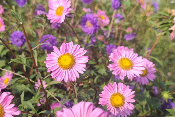 沈陽白事中什么是喪假？喪假有幾天？