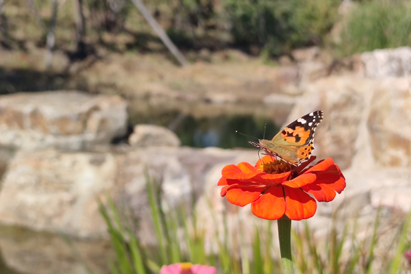一定要牢記“上墳三不帶，后人福氣來(lái)”！