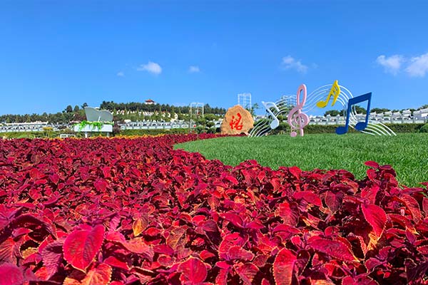 追悼會(huì)的一般流程，殯葬一條龍包括主持追悼會(huì)嗎？