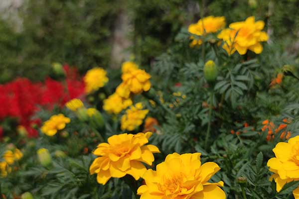 沈陽殯葬禮儀服務(wù)