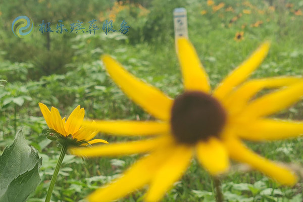 沈陽殯葬一站式服務(wù)包括哪些內(nèi)容？