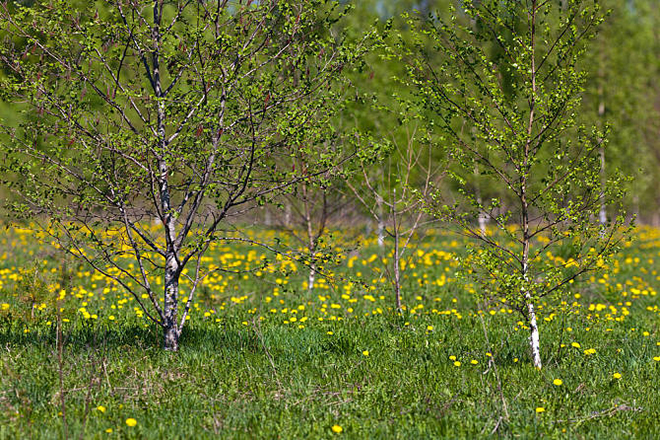  老人去世第一晚要守夜，守夜需要注意什么？沈陽殯葬禮儀服務(wù)分享