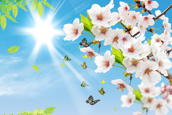 沈陽白事服務帶您了解人去世后第一時間該干什么嘛？