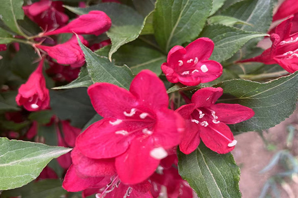 買壽衣要注意什么？