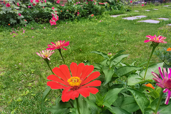 沈陽喪葬服務(wù)時，墓穴里都放什么？陪葬品在哪里買？